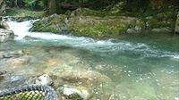DSC_0189_R.JPG